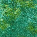 Boutique Edition Magic Scarves - Bright Green-Lime Splash Boutique Edition