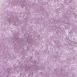 Lilac Lilac