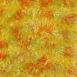 Multi Citrus Blend Multi Citrus Blend