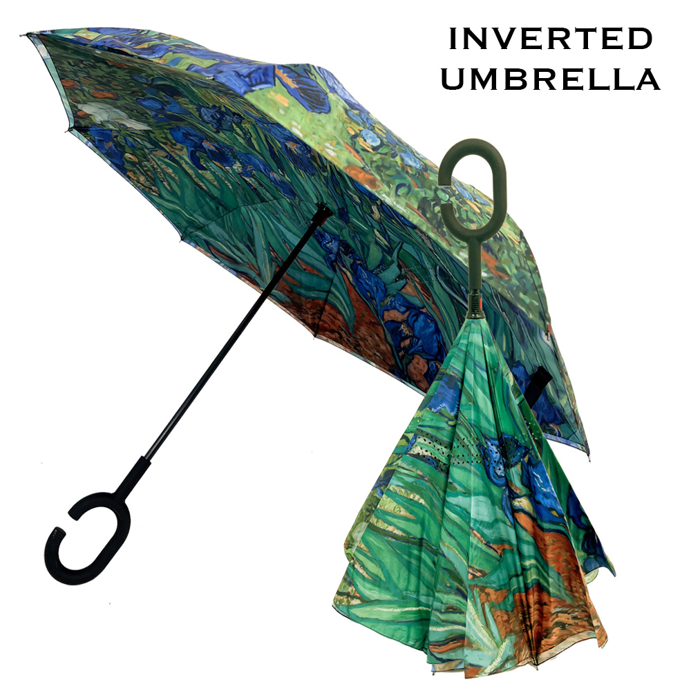 #02 - Irises<br>
Inverted Umbrella  
