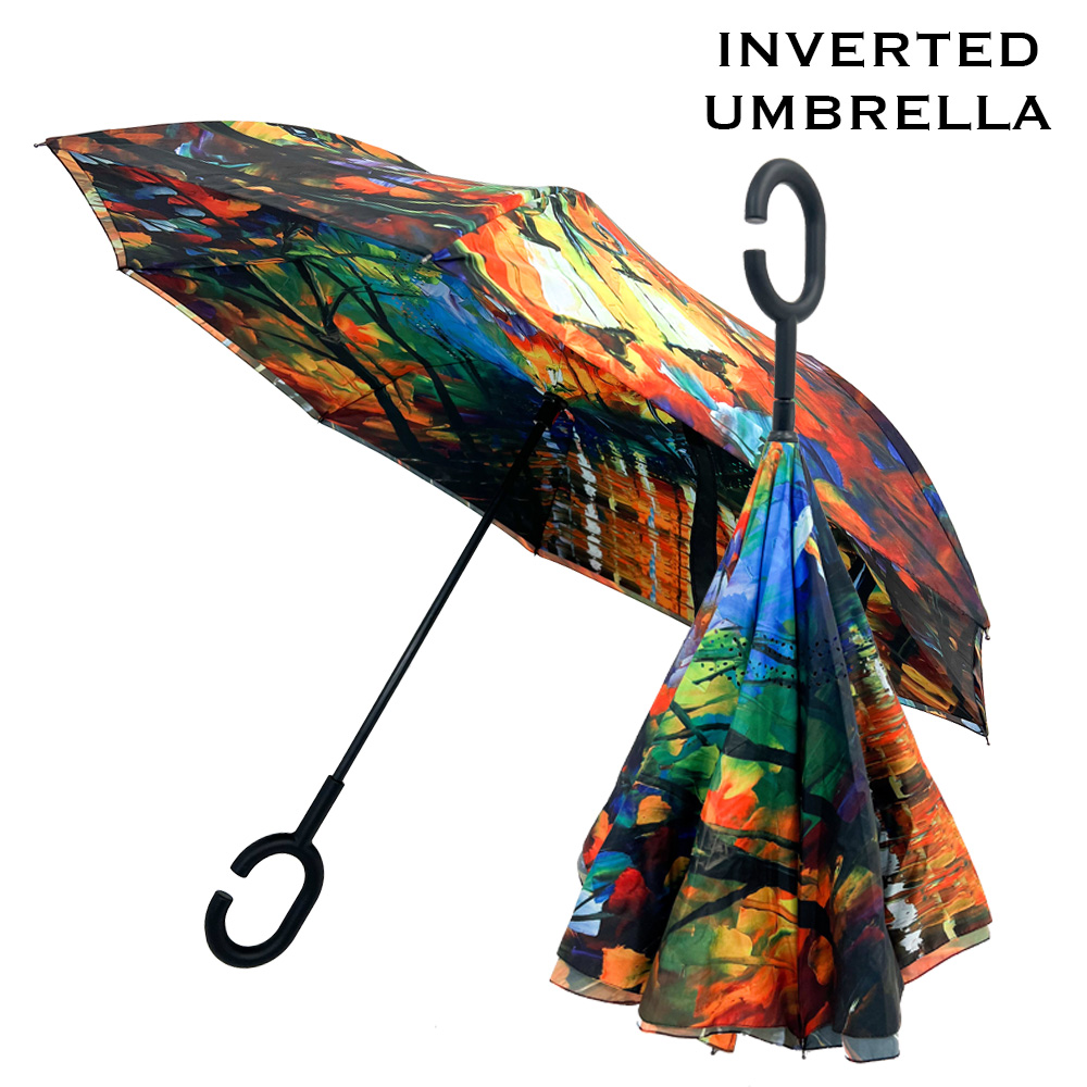 #03 - Lady in the Rain<br>
Inverted Umbrella 